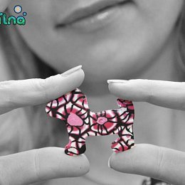 Pejsek z kolekce Sasanka