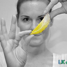 Brož z kolekce Pírko